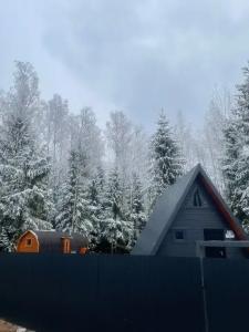 Дом A-frame с баней и купелью в сосновом лесу - 24