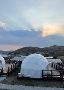 Аквариум - 131