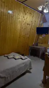 Золотой мустанг - 31