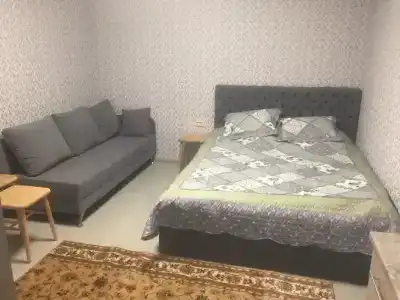 Дом с видом на Музей деревянного зодчества - 1