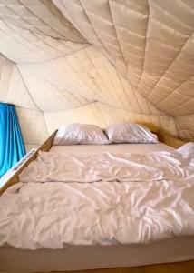 Аквариум - 146