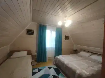 Эдельвейс - 9