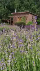 Дом у реки Волма - 11