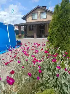 Борковкино - 2