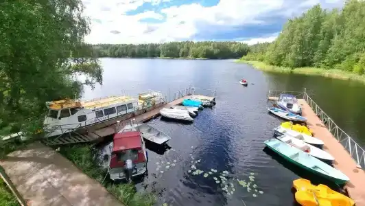 Дом с видом на лес - 326