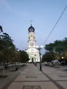 Мильфей на Черняховского 21 - 323
