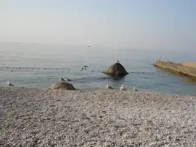 Апартамент у моря на Южной 1 - 26