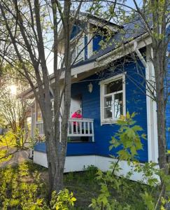 Синяя птица - 0