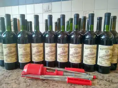 Вилла Море у Леса - 21