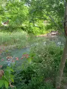 Светлана - 75