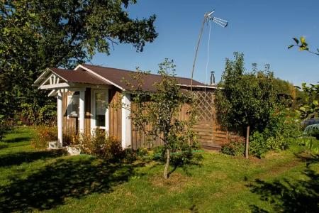 Боровики - 9