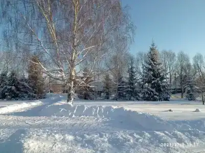 У Александра - 11