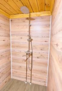 Dмитриевский - 106