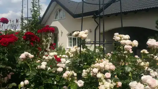 Villa Zen с ванной спа и террасой - 44