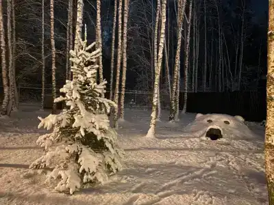 Каникулы - 10