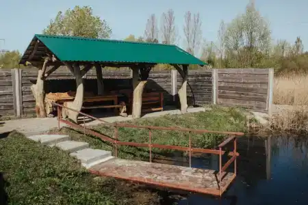 Васильки - 24