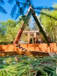 Медвежий угол - 0