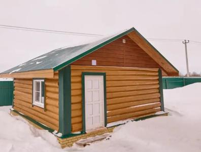 Dмитриевский - 100