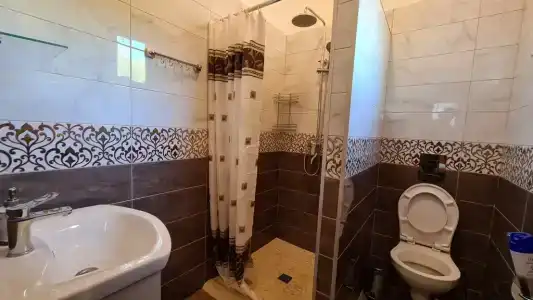 Новинки Парк - 295