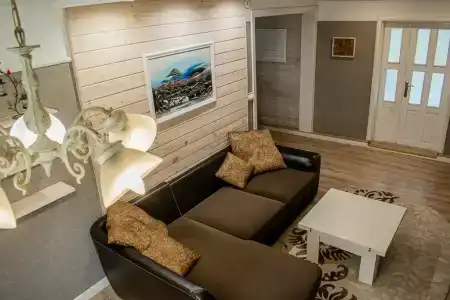 Боровики - 43