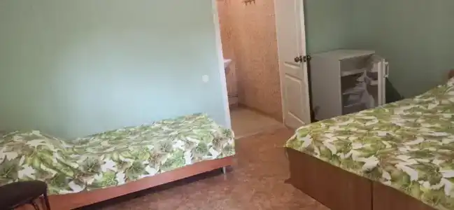 Уютный домик в цветах у Людмилы - 4