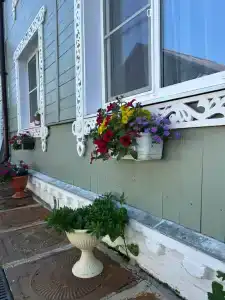 Гостевой Дом-дача у Мишутки Зелёный - 4