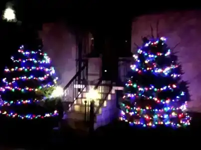 Дома на берегу озера - 47