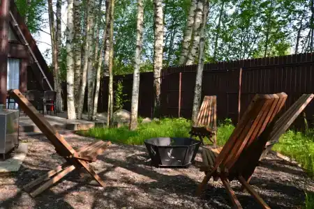 Таменгонт - 50