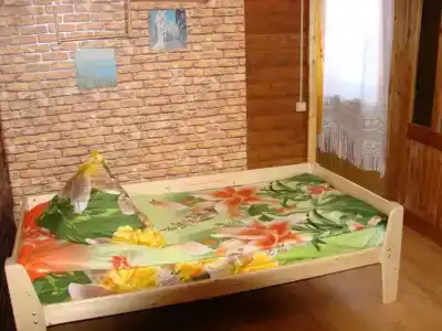 Онежская Горка - 18
