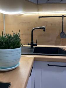 Квартиры на Космонавта Леонова 38 - 1