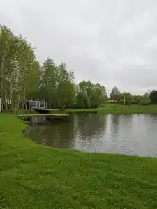 Дом, рыбалка. Вдохновение - 25