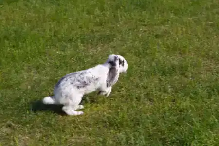 Вилла у озера Мядель - 12