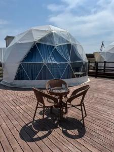 Аквариум - 133