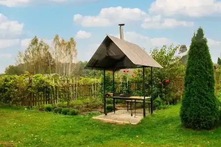 Боровики - 40