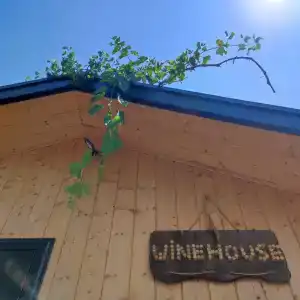 Winehouse - 8