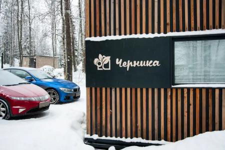 Черника - 7