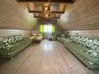 Светлазара - 46