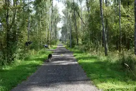 Шале в лесу в Подмосковье - 68