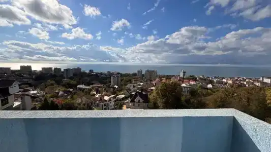 Акация - 20