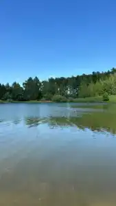 Уютный новый дом с сауной включена в стоимость и видом на озеро и лес - 2