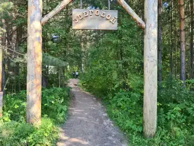 Дачи у Юрманки для душевного отдыха на природе - 30