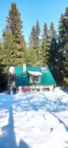 Домик у леса - 1