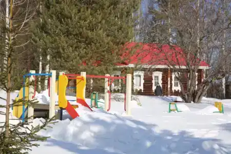 Подсолнухи - 42