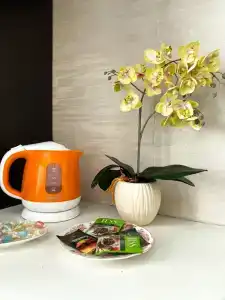 Синие апартаменты на Жукова - 5