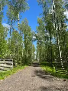 Шале в лесу в Подмосковье - 47