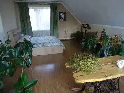 Дом с орехом во дворе - 20