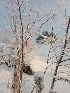 Мункинмяки - 33