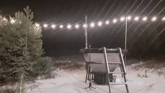 Forest hous - 2