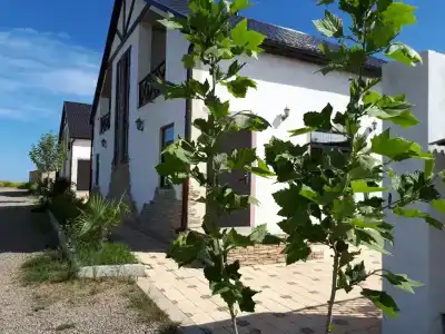 Первый коттедж - 15