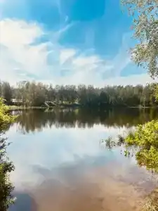 Маро Лампи - 37